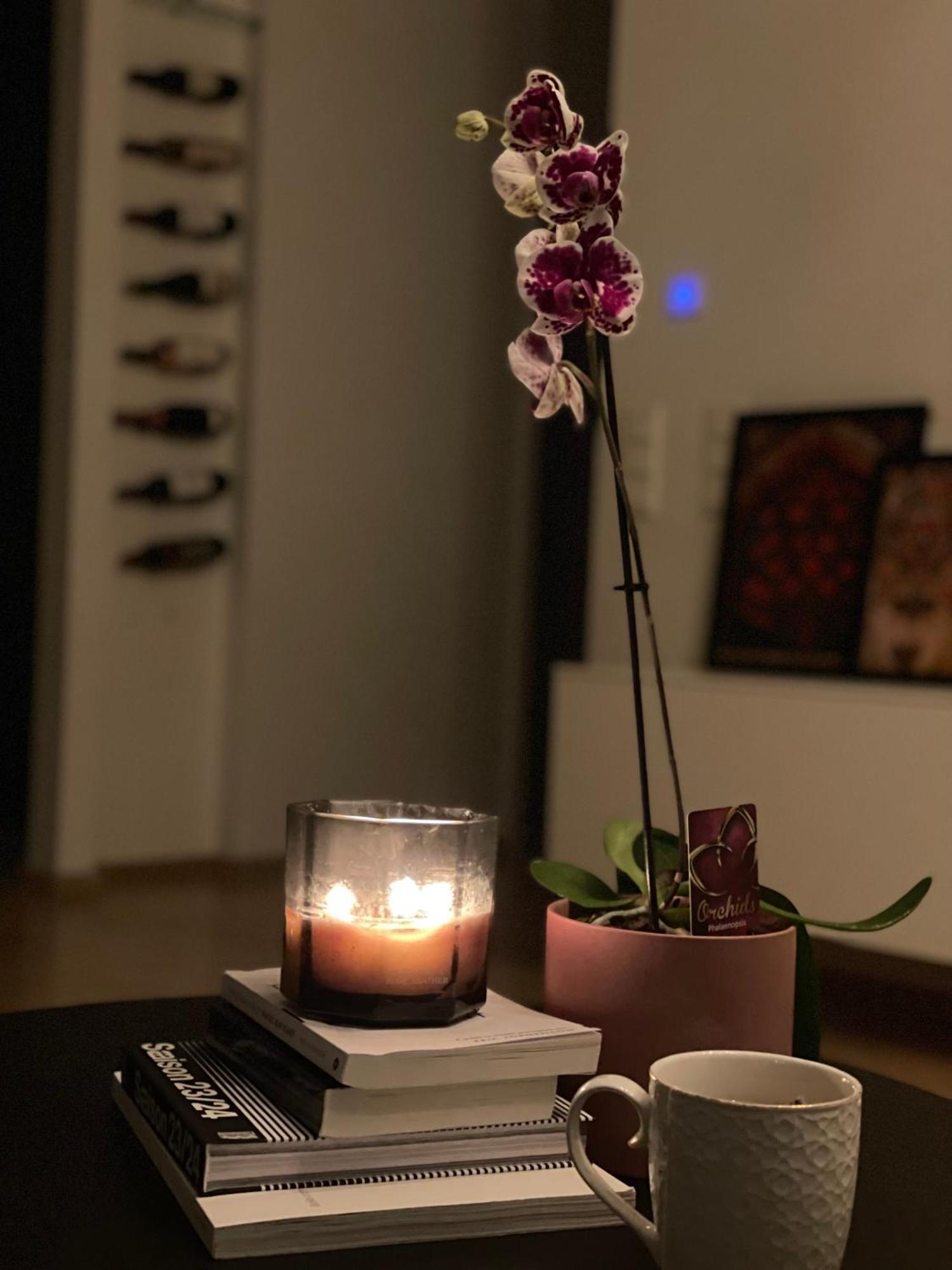 Appartement Elegant Escape Pool & Sauna Luxembourg